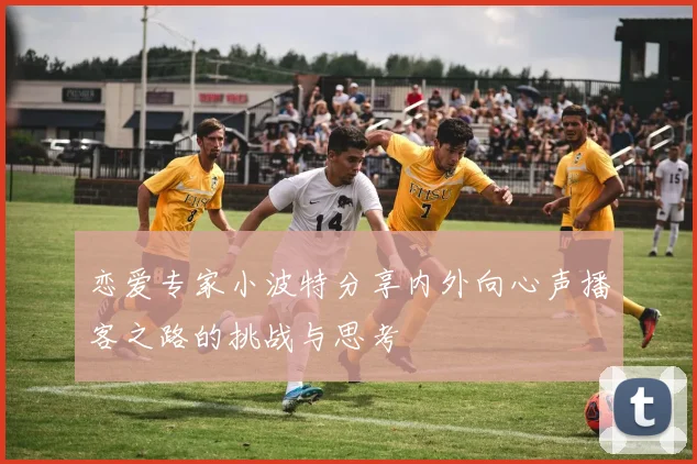 恋爱专家小波特分享内外向心声播客之路的挑战与思考