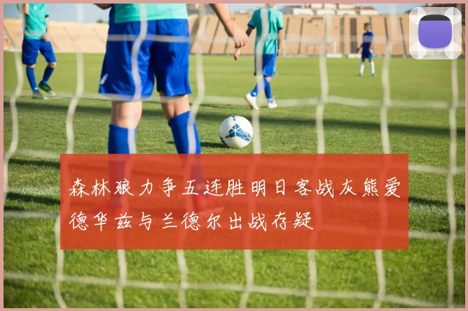 森林狼力争五连胜明日客战灰熊爱德华兹与兰德尔出战存疑